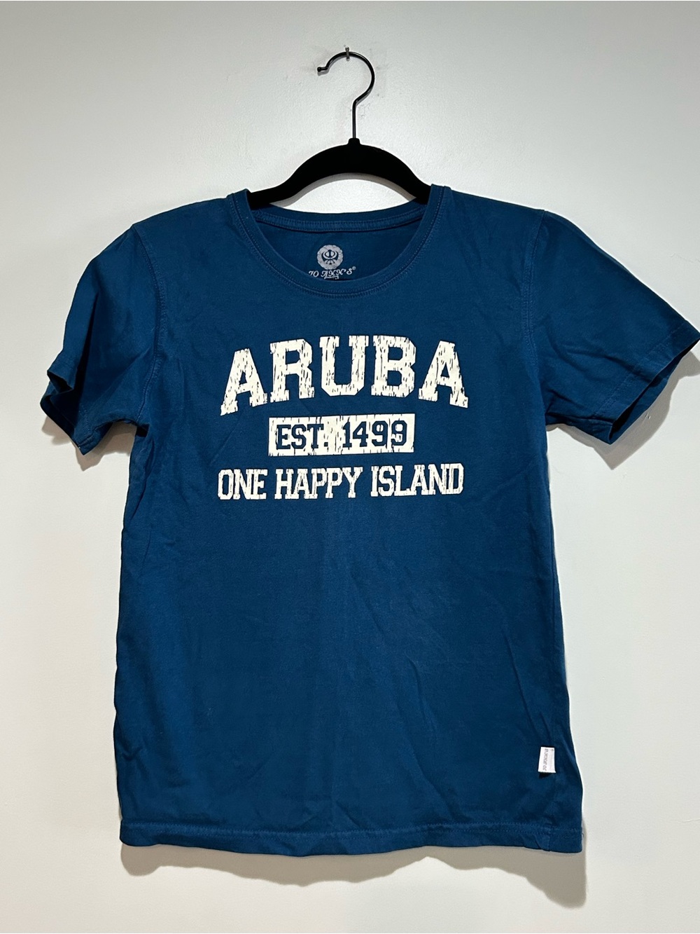 Aruba Graphic Crewneck Tee - Blue